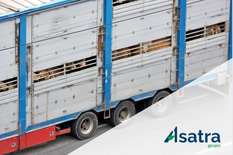 Se activa el plan para vigilar la temperatura en los transportes de animales vivos durante el verano
