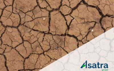 Francia pone en riesgo el futuro del transporte profesional con su Ley contra el Cambio Climático