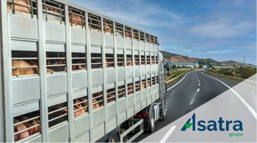 Restricciones Hungría-Transporte animales vivos
